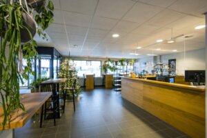 Moderne koffiebar aan de Spaklerweg met houten balie, kerstboom en veel groen.