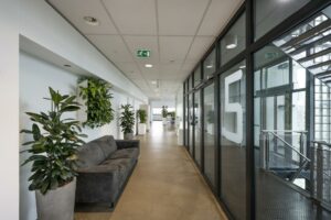 Moderne kantoorhal op de vijfde verdieping van Rietlandpark, met glazen wanden, een grijze bank en veel groene planten.