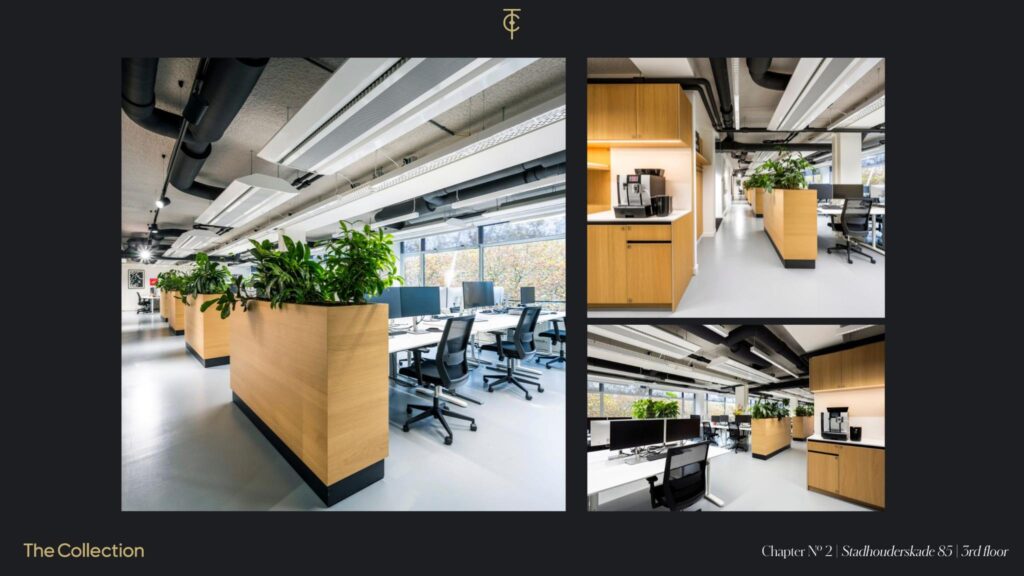 Modern open-plan office with natural wood finishes, indoor plants, and large windows at Stadhouderskade 85, 3rd floor.