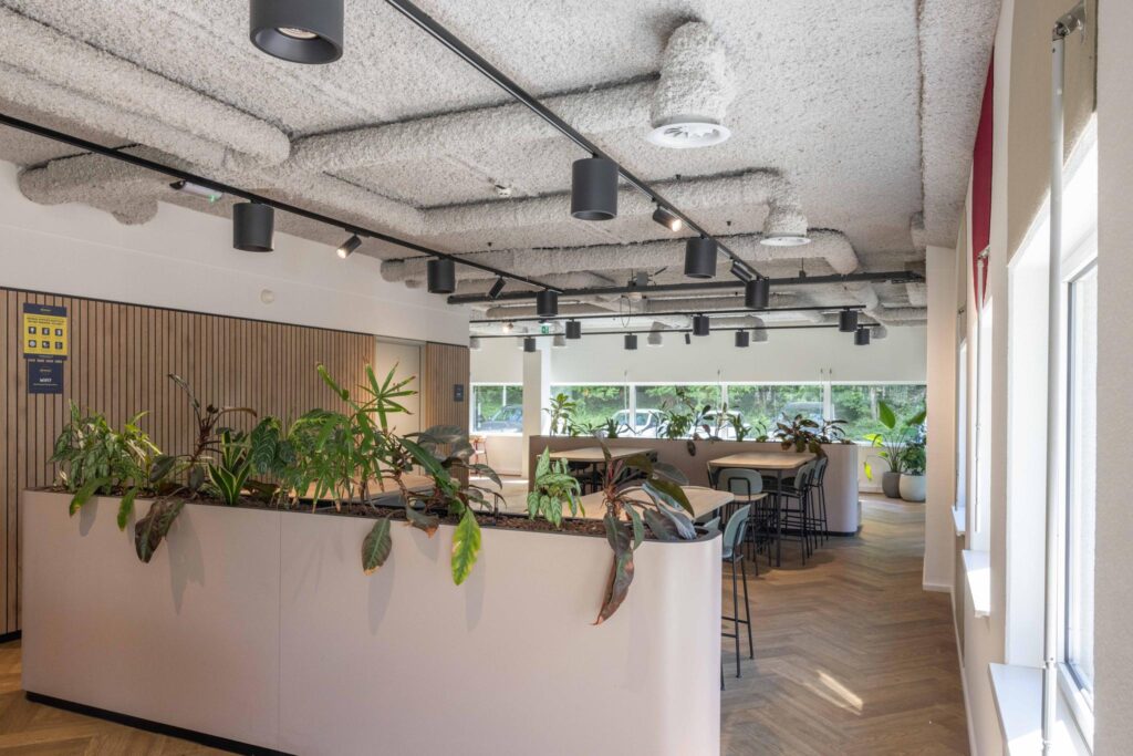 Modern office space at Overschiestraat with natural light, wooden flooring, and greenery-filled seating areas.