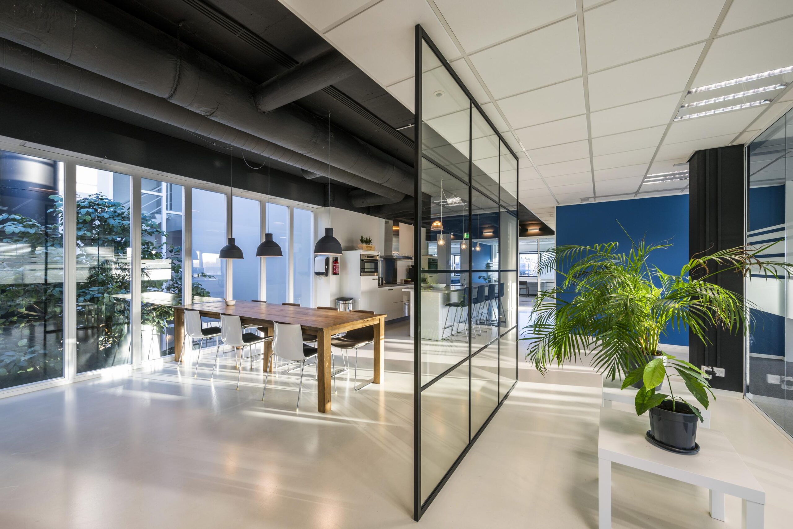 Modern office kitchen and dining area with large windows, wooden table, and indoor plants on Kuiperbergweg.