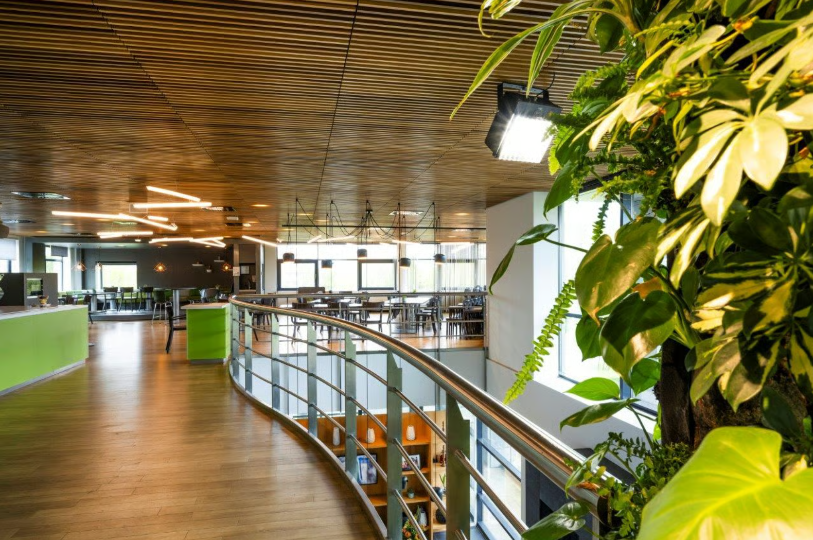 Modern office interior on Boeing Avenue featuring a wooden floor, green accents, and a vertical plant wall.