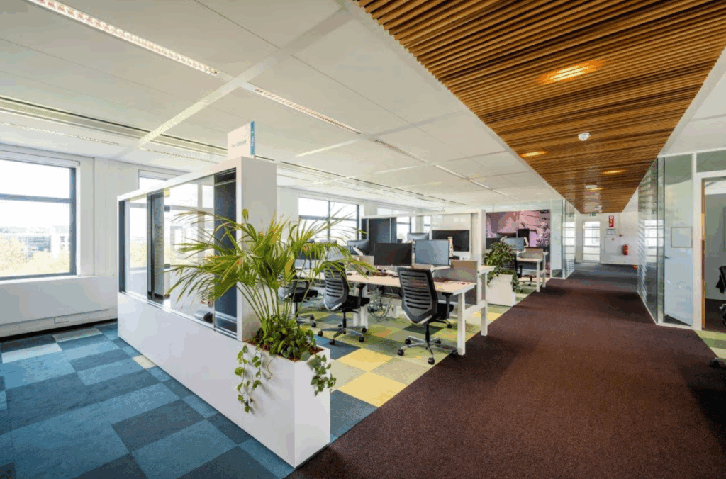 Modern open-plan office space on Boeing Avenue with desks, ergonomic chairs, indoor plants, and natural lighting.