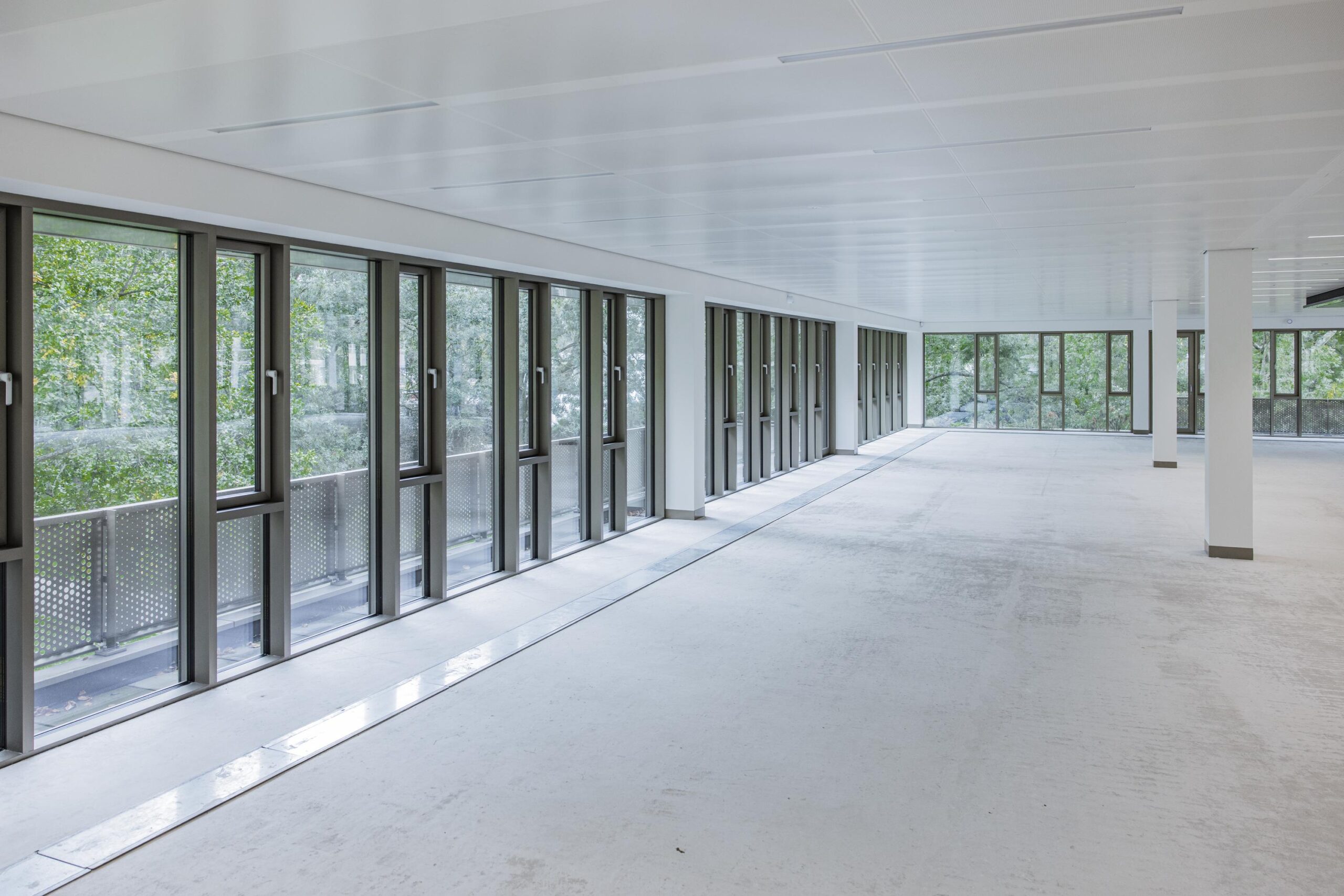 Bright and spacious empty office space at Walborg with large windows and a view of greenery.